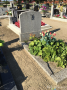 Grób Stefanii Ławniczakoweh z Fórmanowiczów